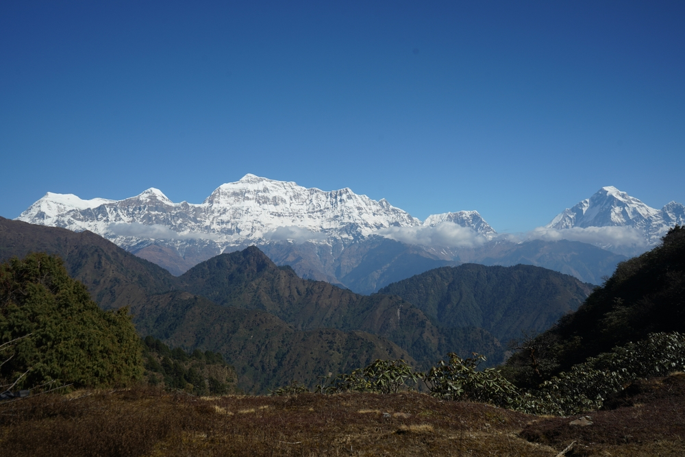14 Days Dhorpatan Wildlife Reserve Yoga Trek