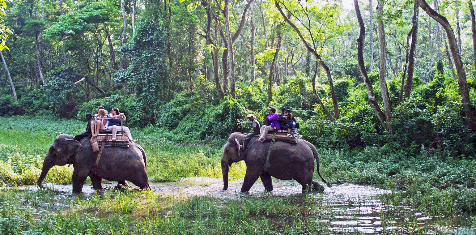Chitwan Wildlife Yoga Tour