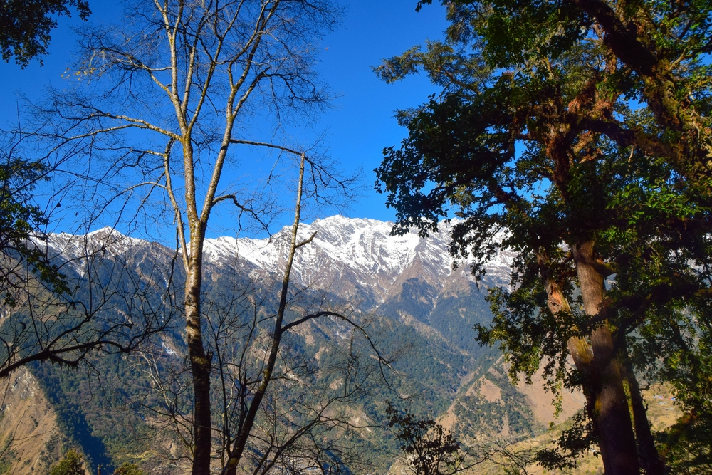 Tamang Heritage Yoga Trek