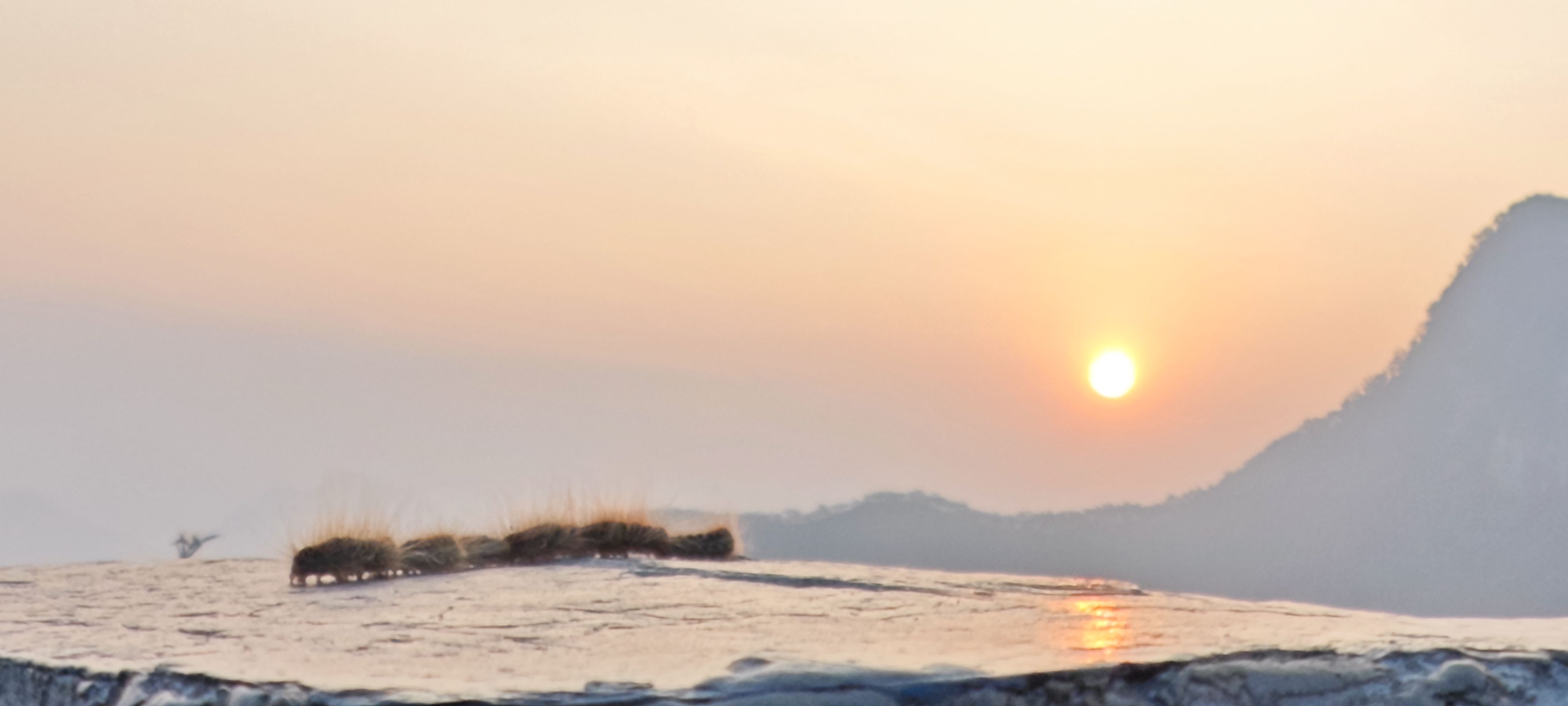 13 Nights / 14 Days Kathmandu-Bandipur-Pokhara-Chitwan-Nagarkot Tour