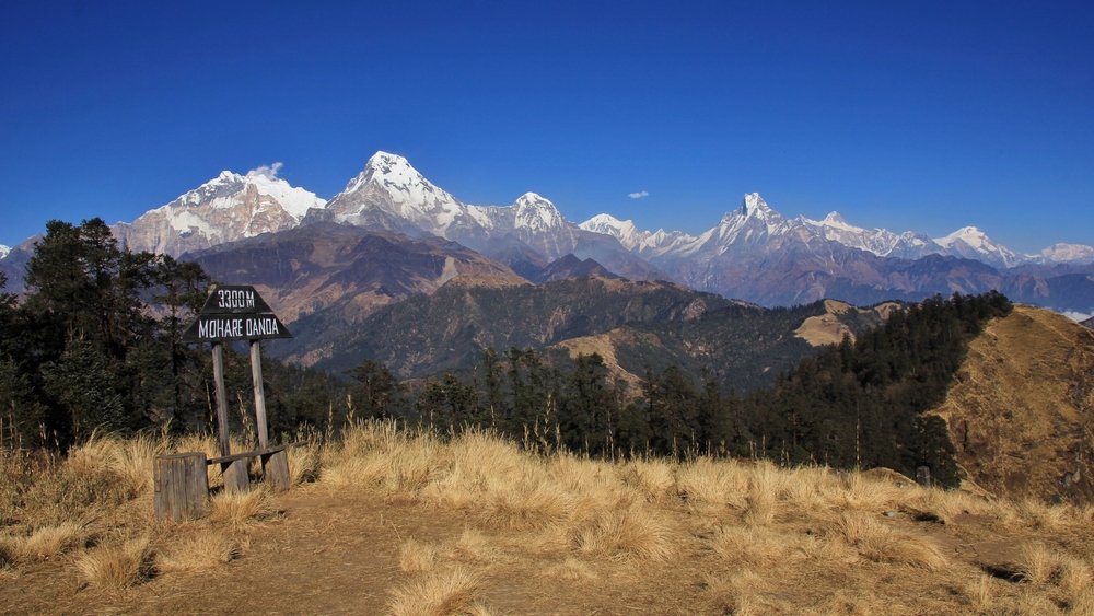 Mohare Danda Yoga Trek